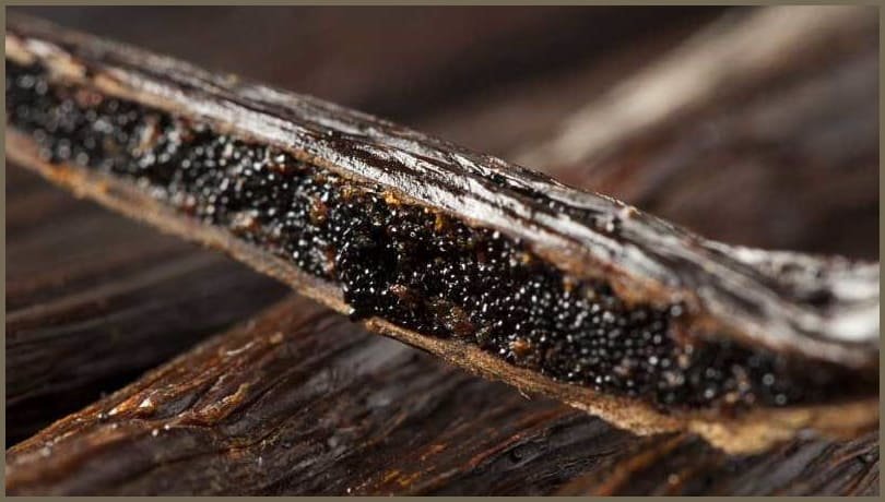 Natural Vanilla Store USA | Organic Vanilla Seed Caviar Paste 